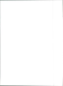 Fiat Panda 4x4 - Vintage Photograph