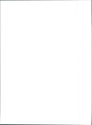 Fiat Panda - Vintage Photograph