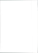 Fiat Panda 4x4 - Vintage Photograph