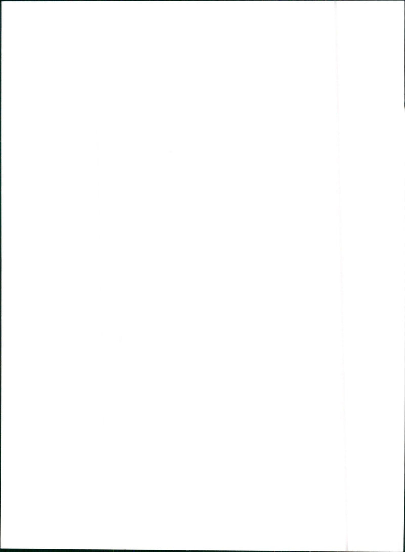 Fiat Panda - Vintage Photograph