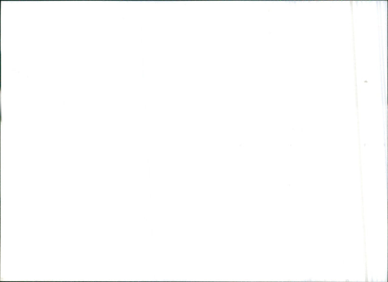 1991 Saab 9000 Turbo 16S - Vintage Photograph