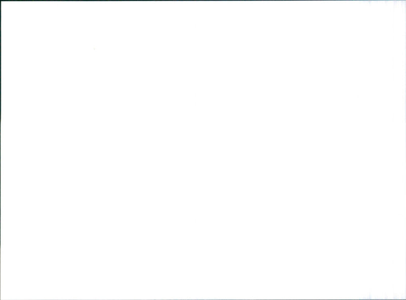 1985 Nissan Luc-2 - Vintage Photograph