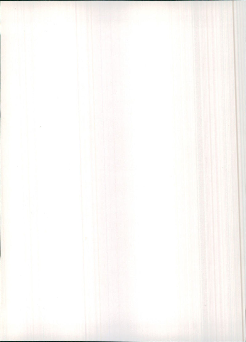 Isuzu Trooper - Vintage Photograph