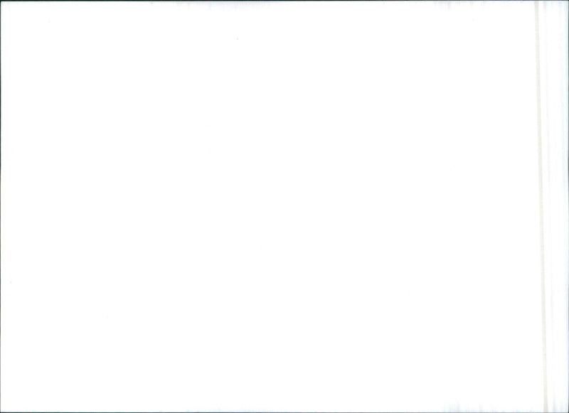 1985 Suzuki - Vintage Photograph