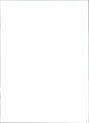 Fiat Tempra - Vintage Photograph