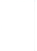 Fiat Tempra - Vintage Photograph