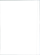 Fiat Tempra - Vintage Photograph