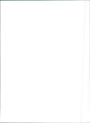 Fiat Tempra - Vintage Photograph