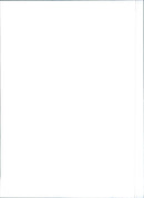 Fiat Tempra - Vintage Photograph