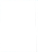 Fiat Tempra - Vintage Photograph