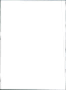 Fiat Tempra - Vintage Photograph