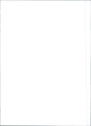 Fiat Tempra - Vintage Photograph