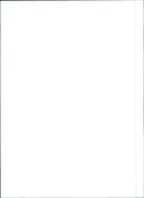 Fiat Tempra - Vintage Photograph