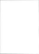 Fiat Tempra - Vintage Photograph