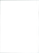 Fiat Tempra - Vintage Photograph