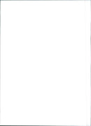 Fiat Tempra - Vintage Photograph