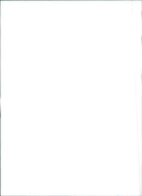 Fiat Tempra - Vintage Photograph