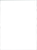 Fiat Tempra - Vintage Photograph