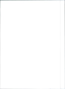 Fiat Tempra - Vintage Photograph