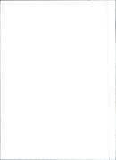 Fiat Tempra - Vintage Photograph