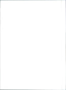 Fiat Tempra - Vintage Photograph