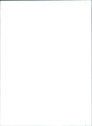 Fiat Tempra - Vintage Photograph