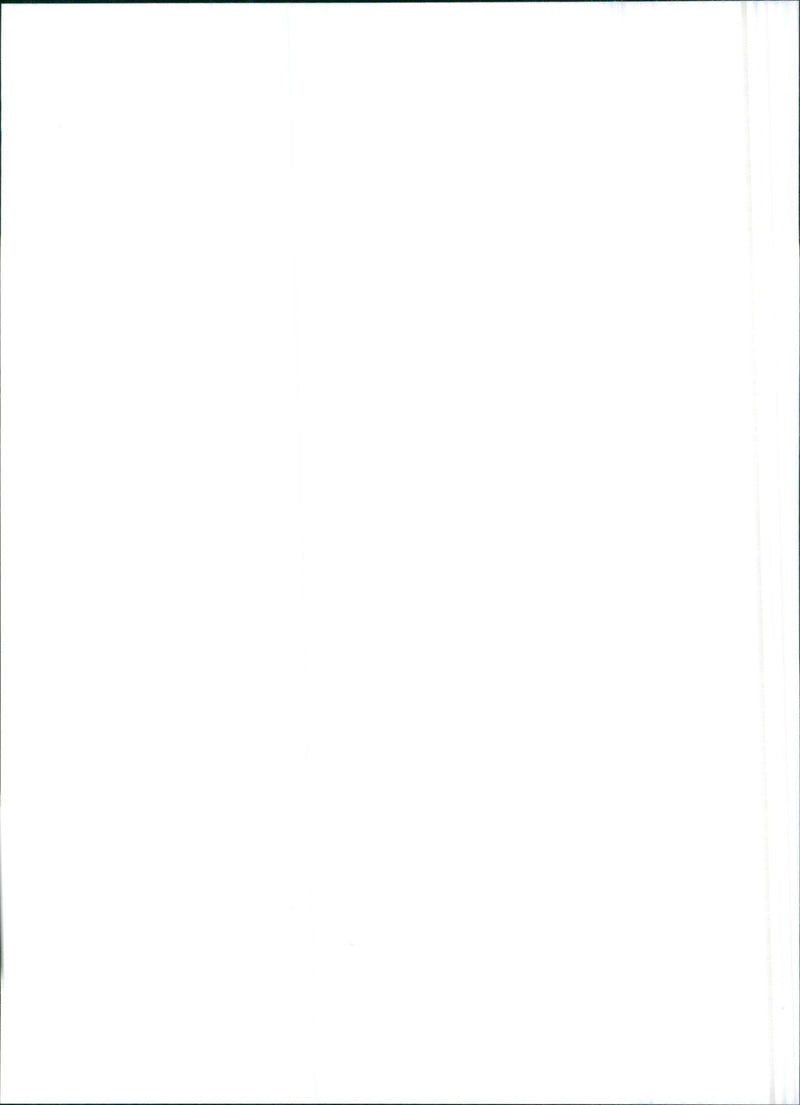 1993 Lancia Y10 1.3 Elite - Vintage Photograph