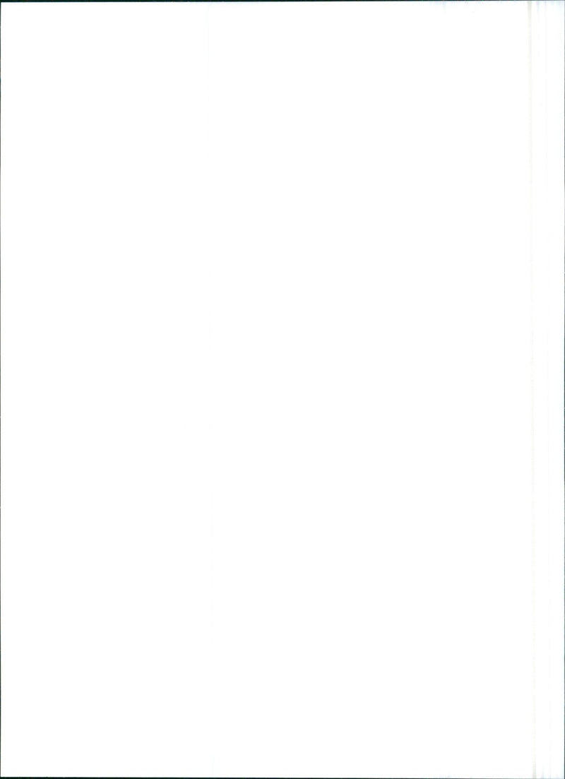 1993 Lancia Y10 1.1 Elite - Vintage Photograph