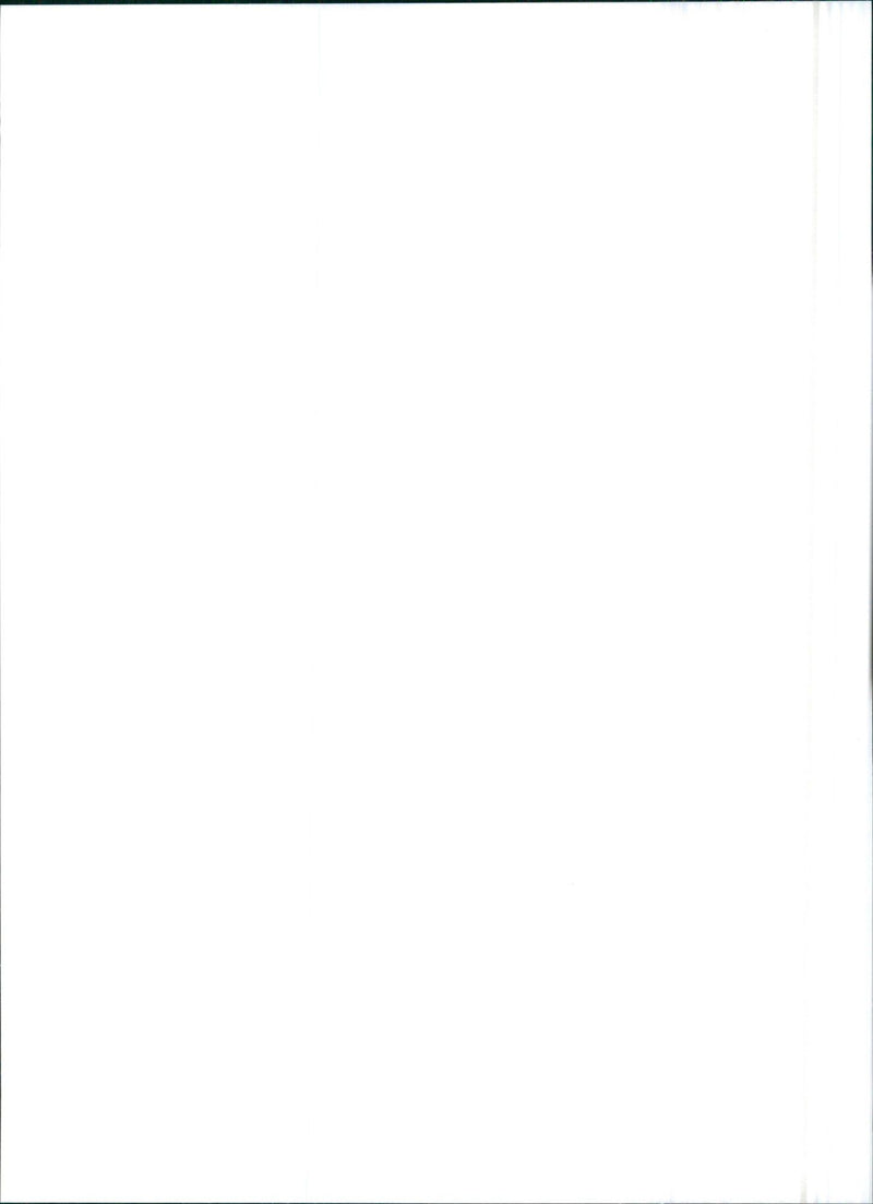 1993 Lancia Y10 1.1 Elite - Vintage Photograph