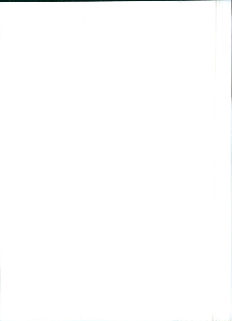 1993 Lancia Y10 - Vintage Photograph