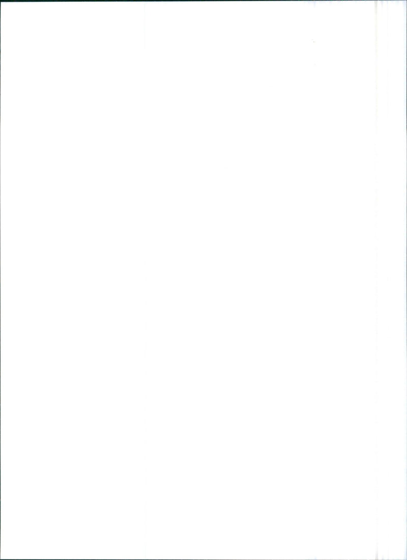 1993 Lancia Y10 1.1 Elite - Vintage Photograph