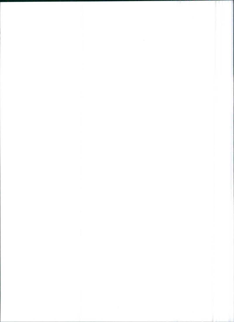 1993 Lancia Y10 1.1 Elite - Vintage Photograph