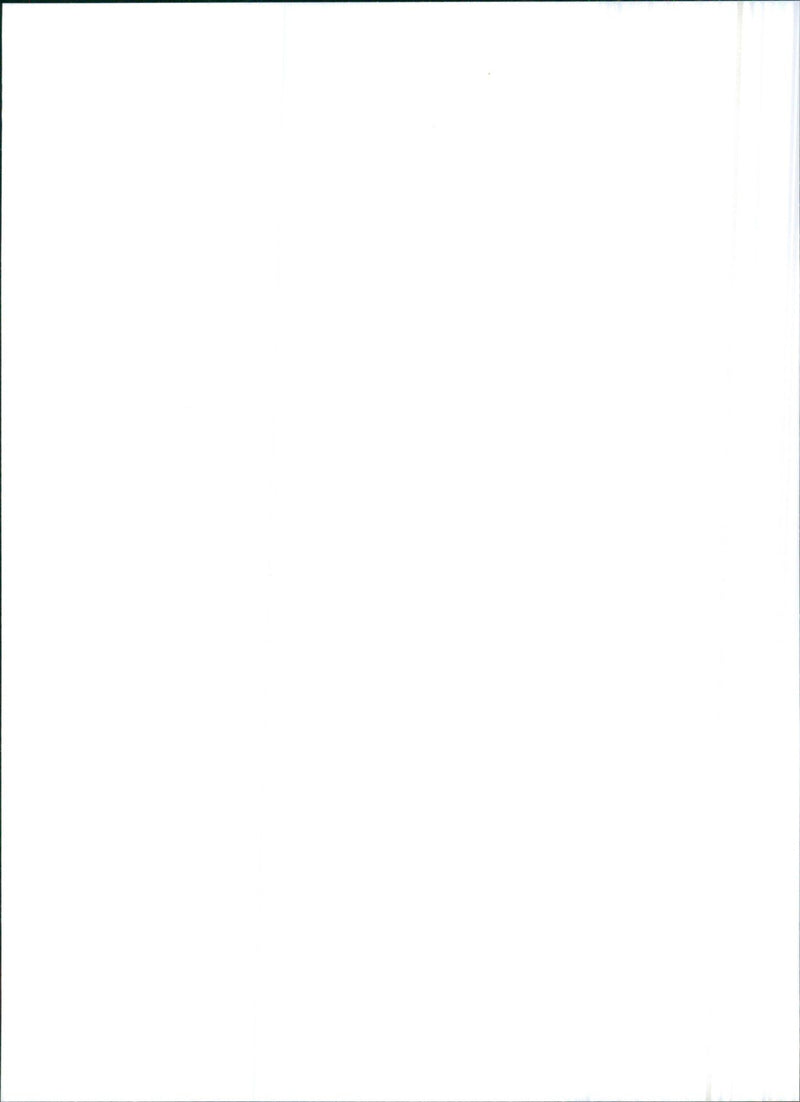 1993 Lancia Y10 1.3 Elite - Vintage Photograph