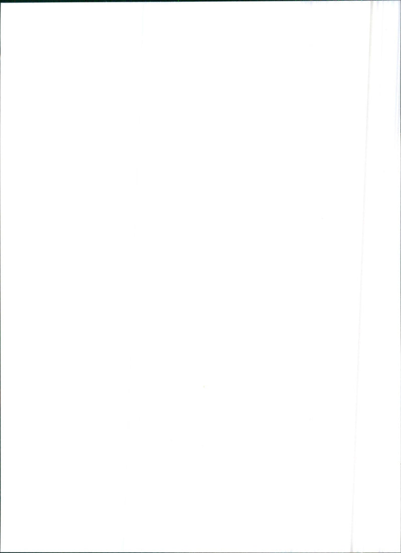 1993 Lancia Y10 - Vintage Photograph