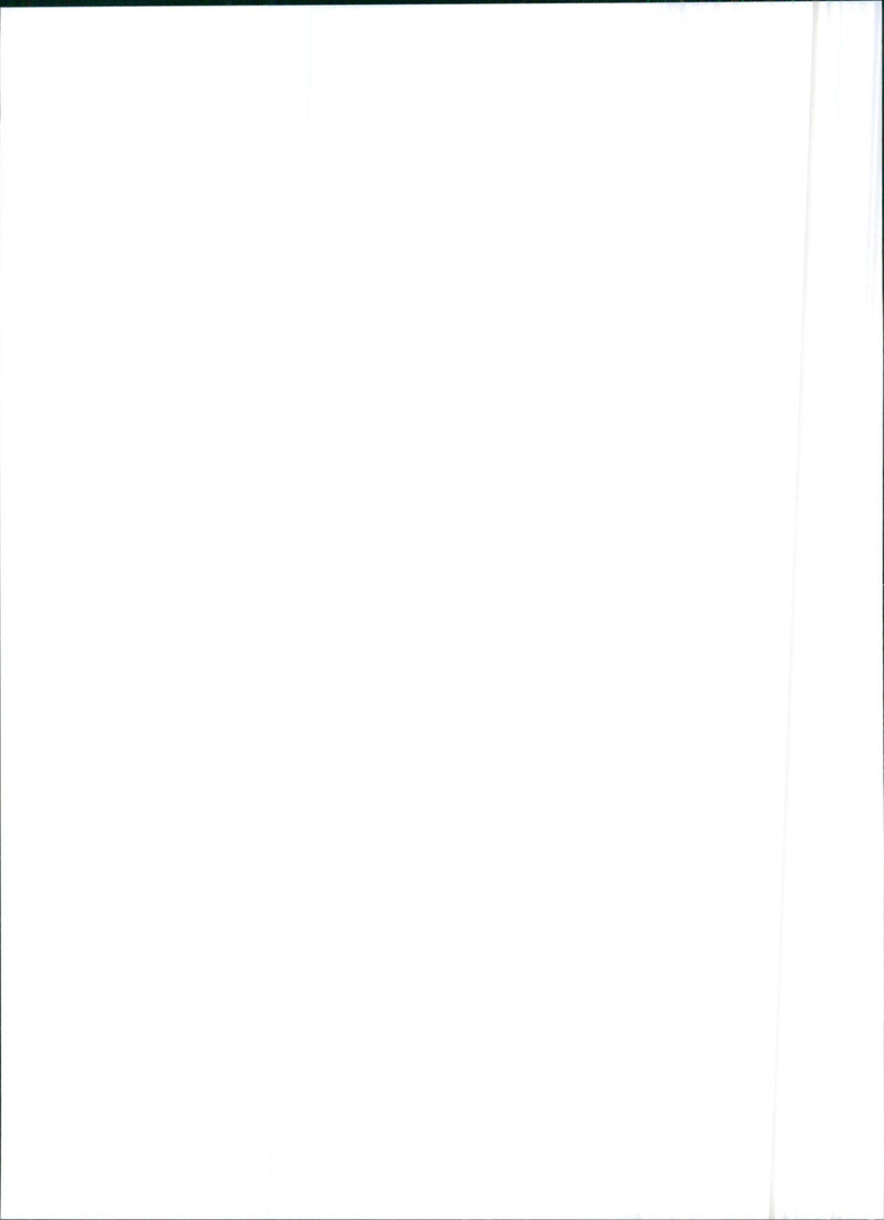 1993 Lancia Y10 - Vintage Photograph