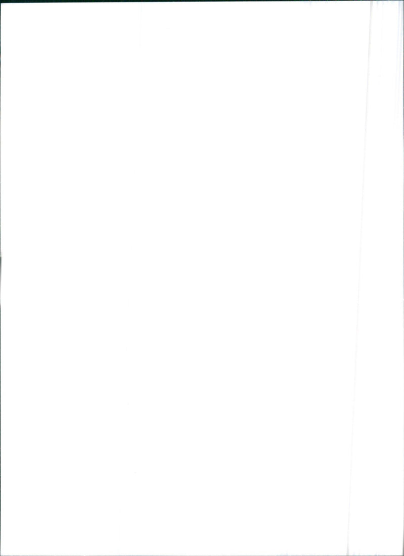 1993 Lancia Y10 1.1 Elite - Vintage Photograph