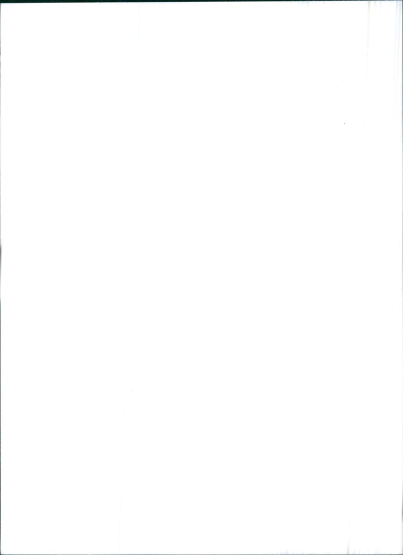 1993 Lancia Y10 - Vintage Photograph