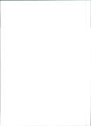 1992 Fiat Cinquecento - Vintage Photograph