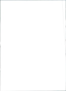 1992 Fiat Tempra S, W. 4 × 4 - Vintage Photograph