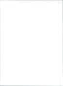 1991 Fiat Panda - Vintage Photograph