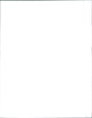 1992 Fiat  Panda Selecta - Vintage Photograph