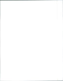 1992 Fiat Tempra Selecta - Vintage Photograph