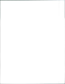 1992 Fiat with automatic transmission - Vintage Photograph