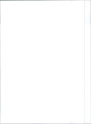 Fiat  Panda Selecta - Vintage Photograph