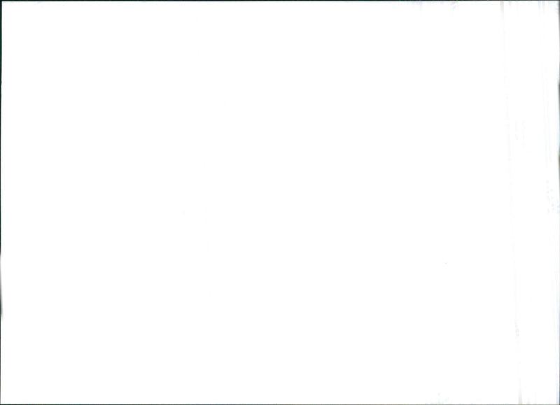 Bertone Blitz - Vintage Photograph