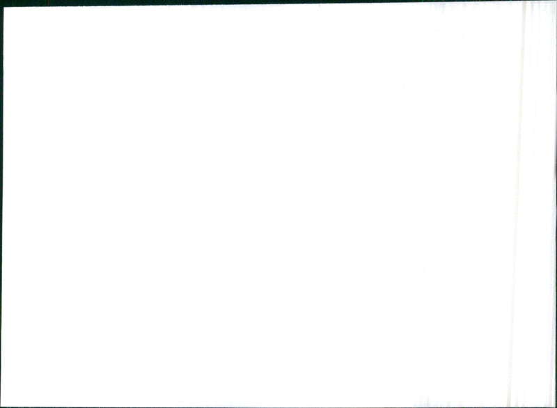 1981 Saab - Vintage Photograph