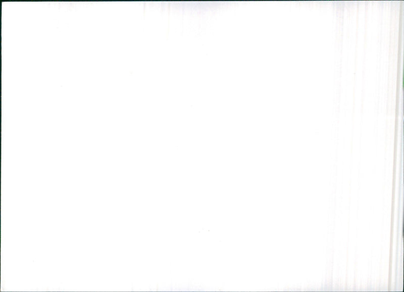 1981 Saab 900 Turbo - Vintage Photograph