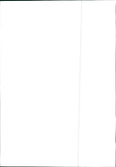 Alfa Romeo 90 - Vintage Photograph