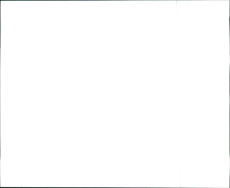 1997 Audi A8 - Vintage Photograph