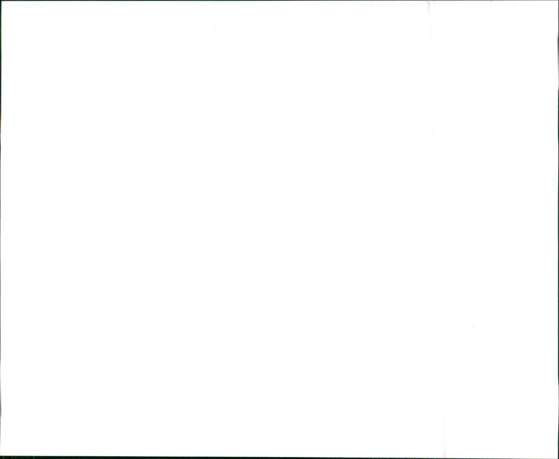 1997 Audi A8 - Vintage Photograph